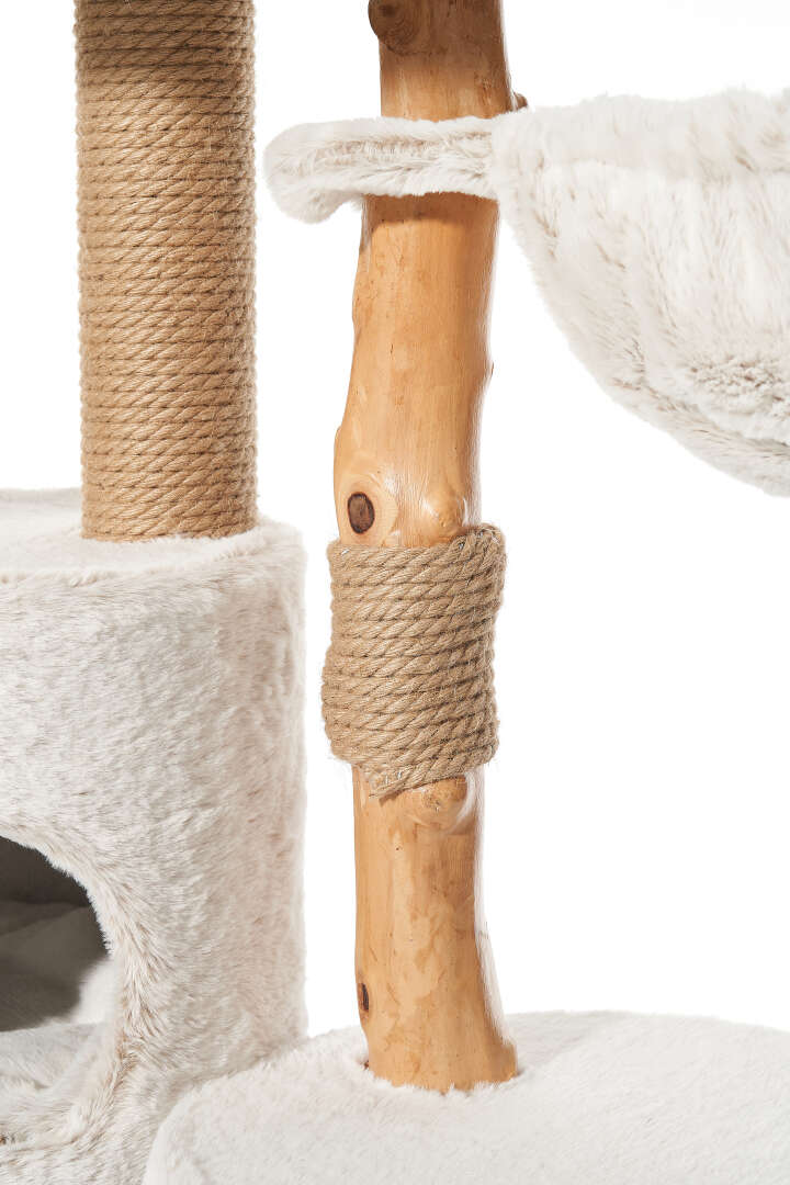 Nobby Kratzbaum Loya